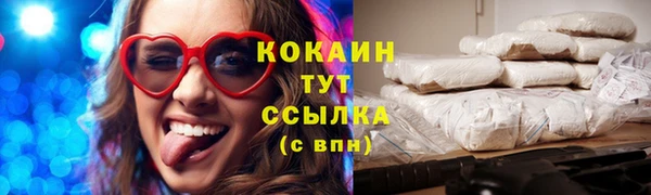 ГАЛЛЮЦИНОГЕННЫЕ ГРИБЫ Горно-Алтайск