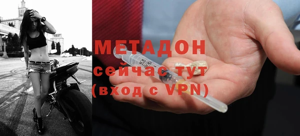 ГАЛЛЮЦИНОГЕННЫЕ ГРИБЫ Горно-Алтайск