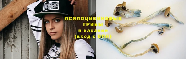 apvp Гусь-Хрустальный