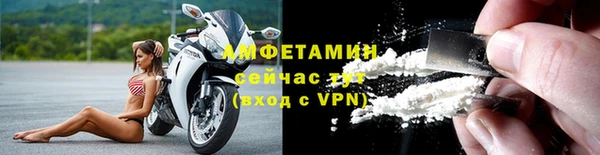 ГАЛЛЮЦИНОГЕННЫЕ ГРИБЫ Горно-Алтайск