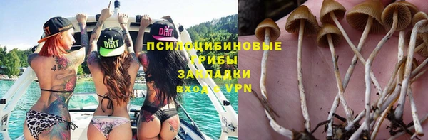 ГАЛЛЮЦИНОГЕННЫЕ ГРИБЫ Горно-Алтайск